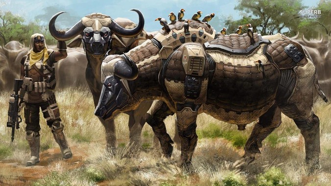 为什么“柴犬”从万人迷，变成万人嫌？